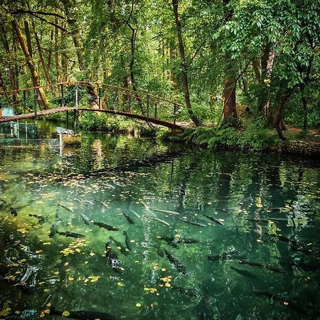 Янтарная Форель Bushtyno Dış mekan fotoğraf