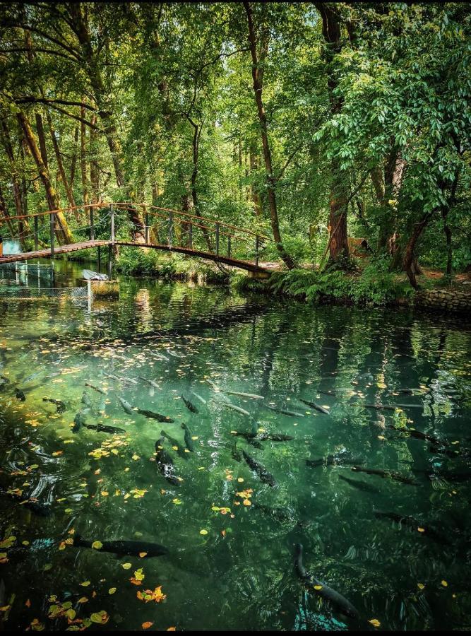 Янтарная Форель Bushtyno Dış mekan fotoğraf
